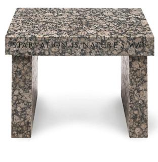 Jenny Holzer - Truism Footstool (Starvation Is Nature\'S Way...)