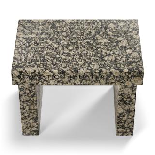 Jenny Holzer - Truisms Footstool: An elite is inevitable...