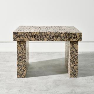 Jenny Holzer - Truisms Footstool: An Elite Is Inevitable...