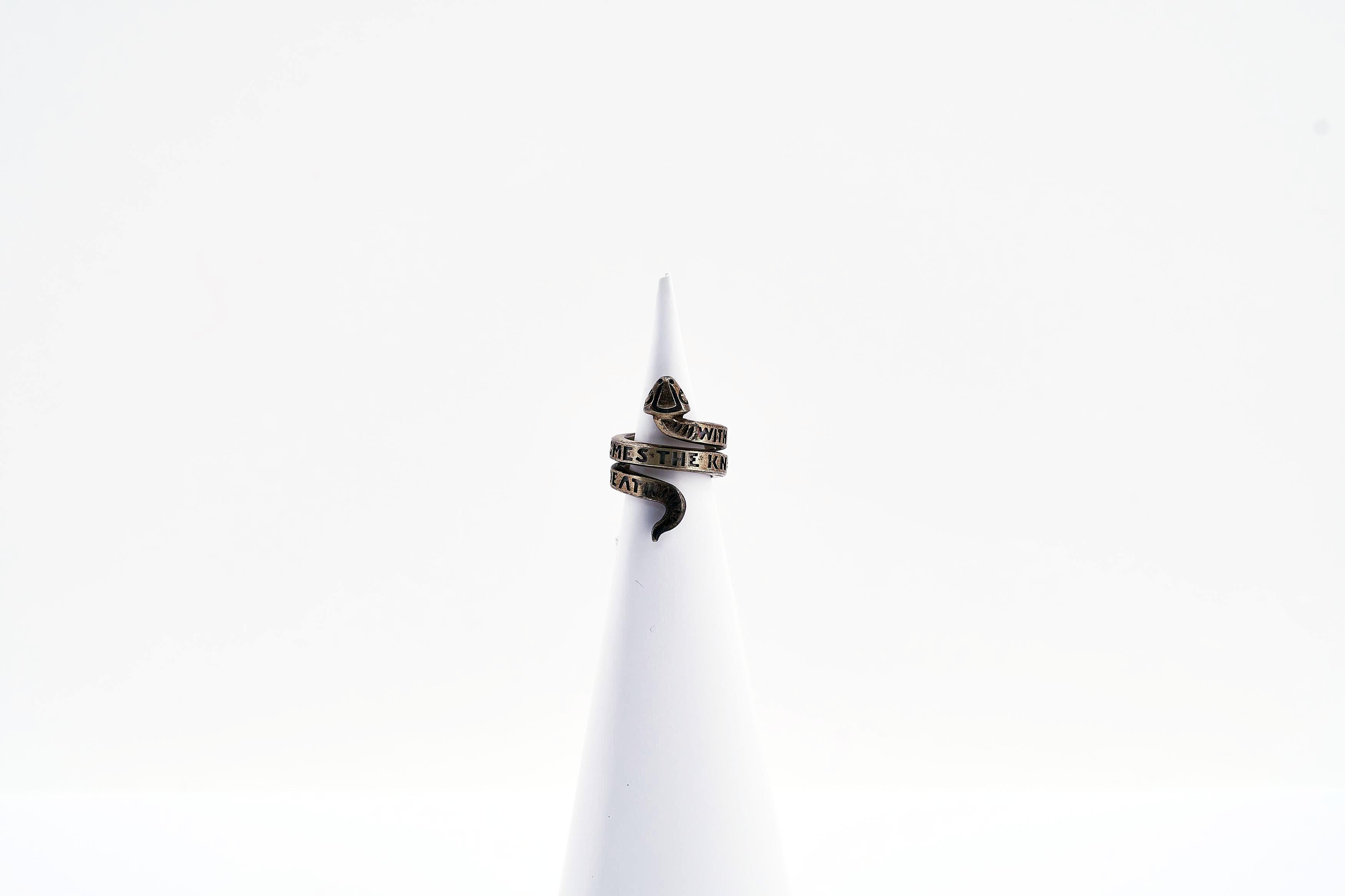 Jenny Holzer - With You Inside Me Comes the Knowledge of My Death.