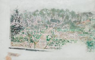 Jenny Montigny - Cerisiers En Fleurs