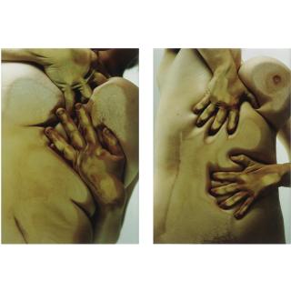 Jenny Saville - Close Contact B And Close Contact D
