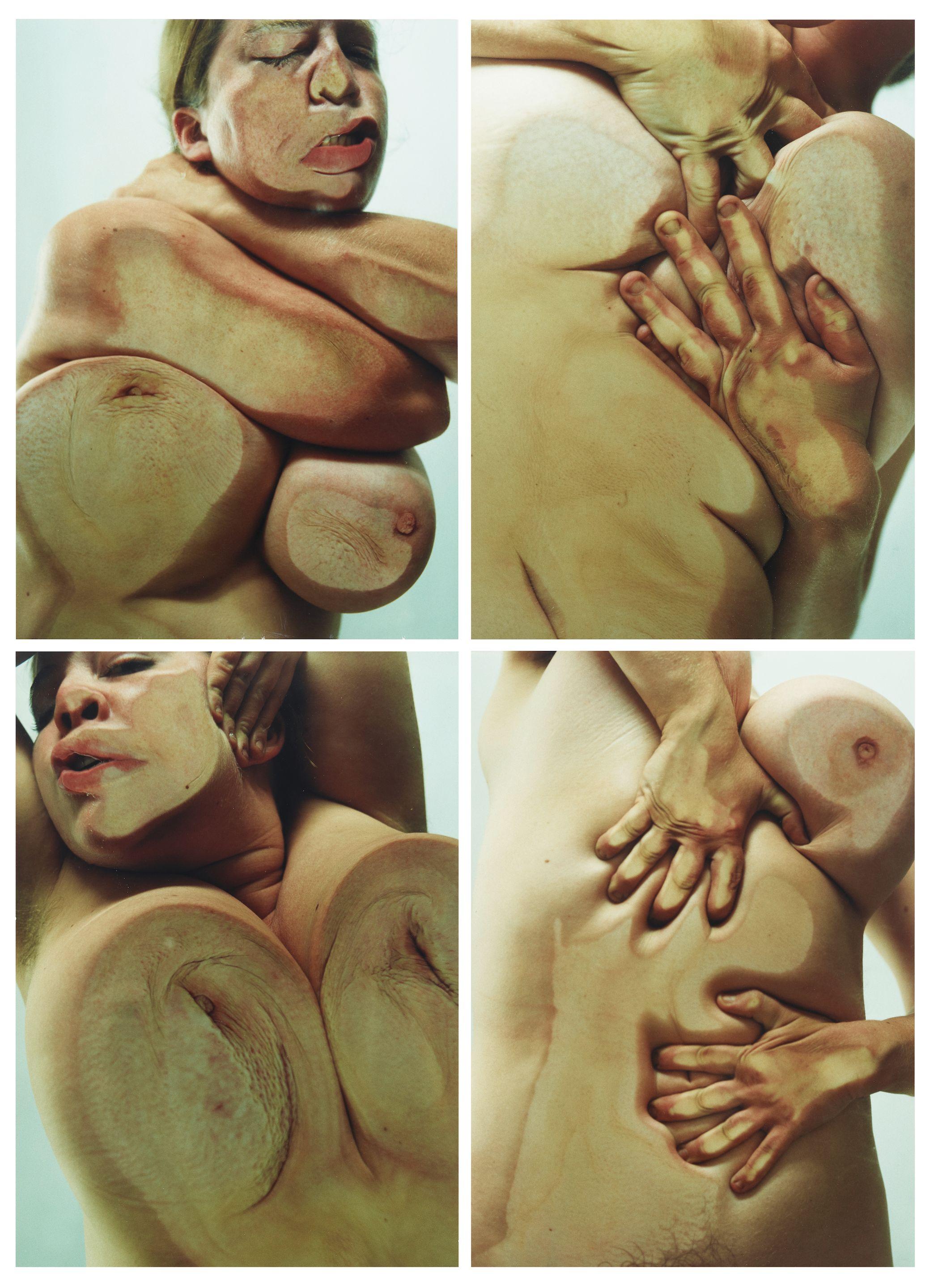 Jenny Saville - Closed Contact 4