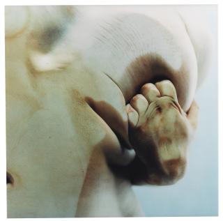 Jenny Saville - Closed Contact # 5