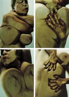 Jenny Saville - Closed Contact A, B, C & D
