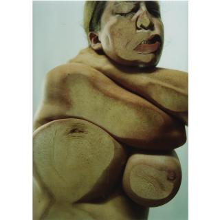 Jenny Saville - Closed Contact A