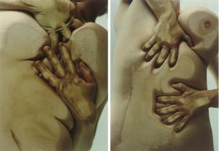 Jenny Saville - Closed Contact (B and D)