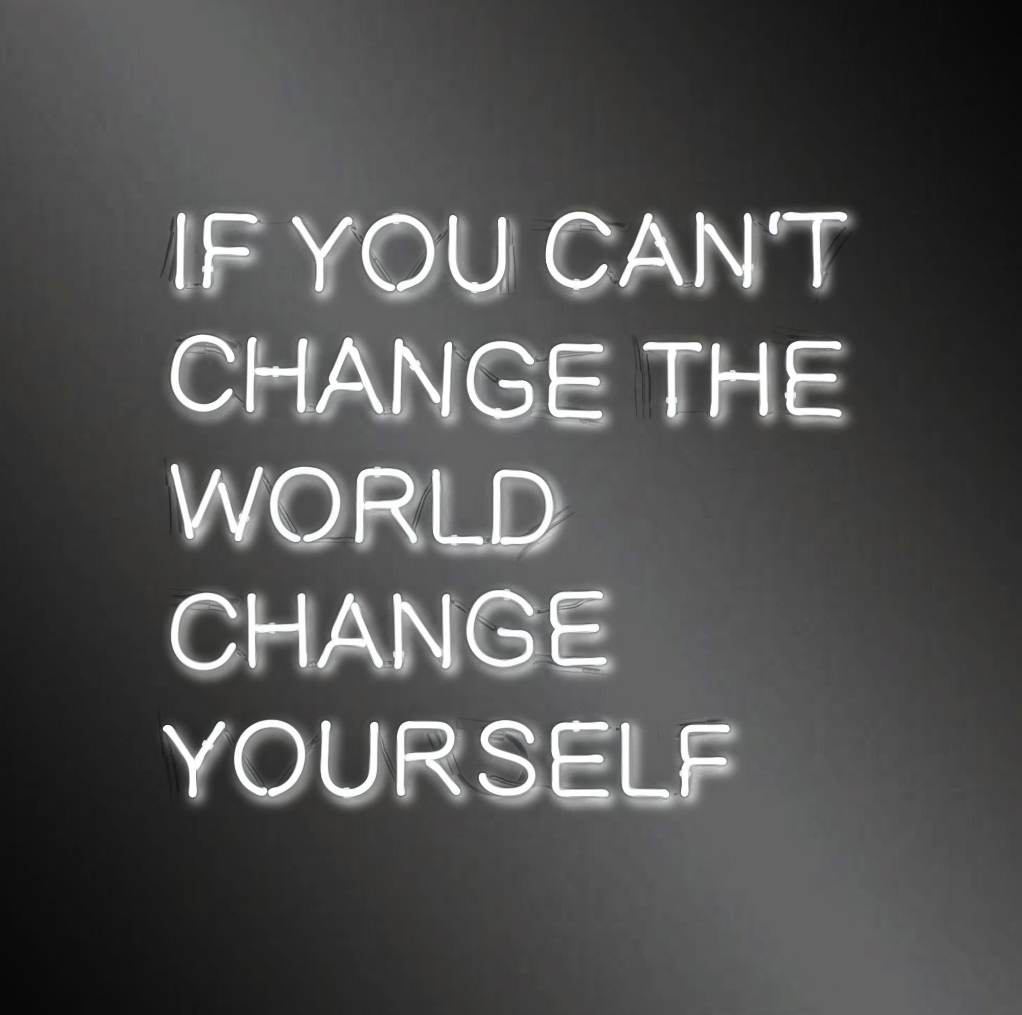 Jeppe Hein - If You Cant Change the World, Change yourself