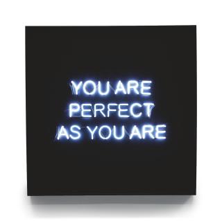 Jeppe Hein - You Are Perfect As You Are