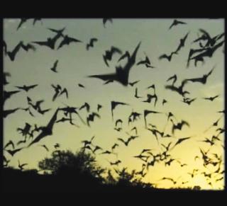 Jeremy Deller - Memory Bucket