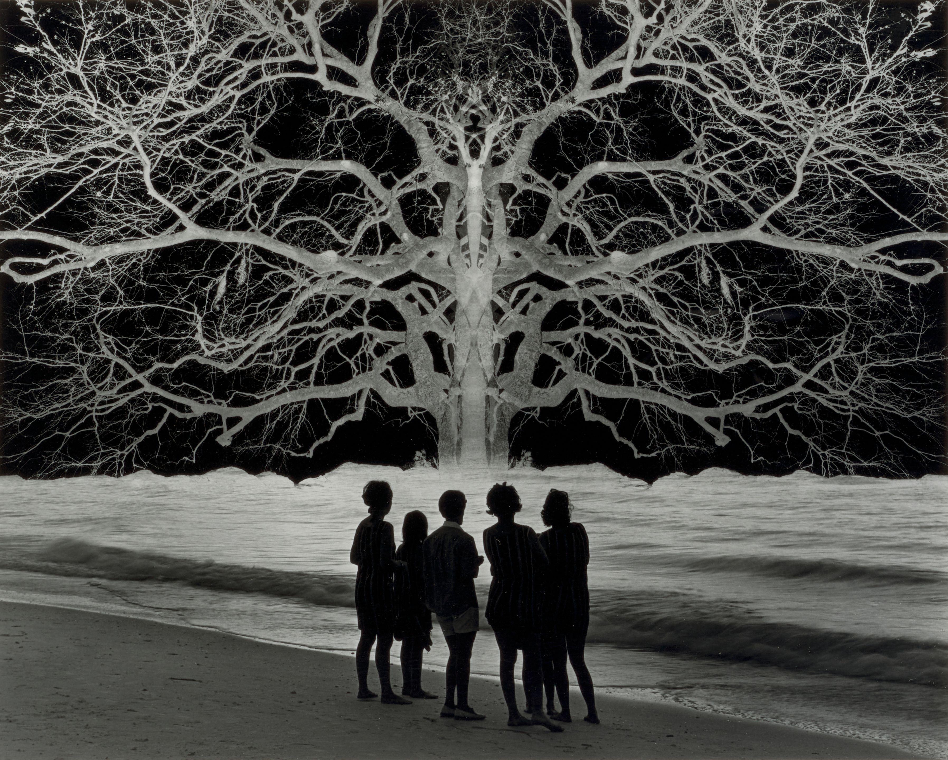 Jerry Uelsmann - Apocalypse II