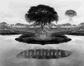 Jerry Uelsmann - Selected images (1969-1983)