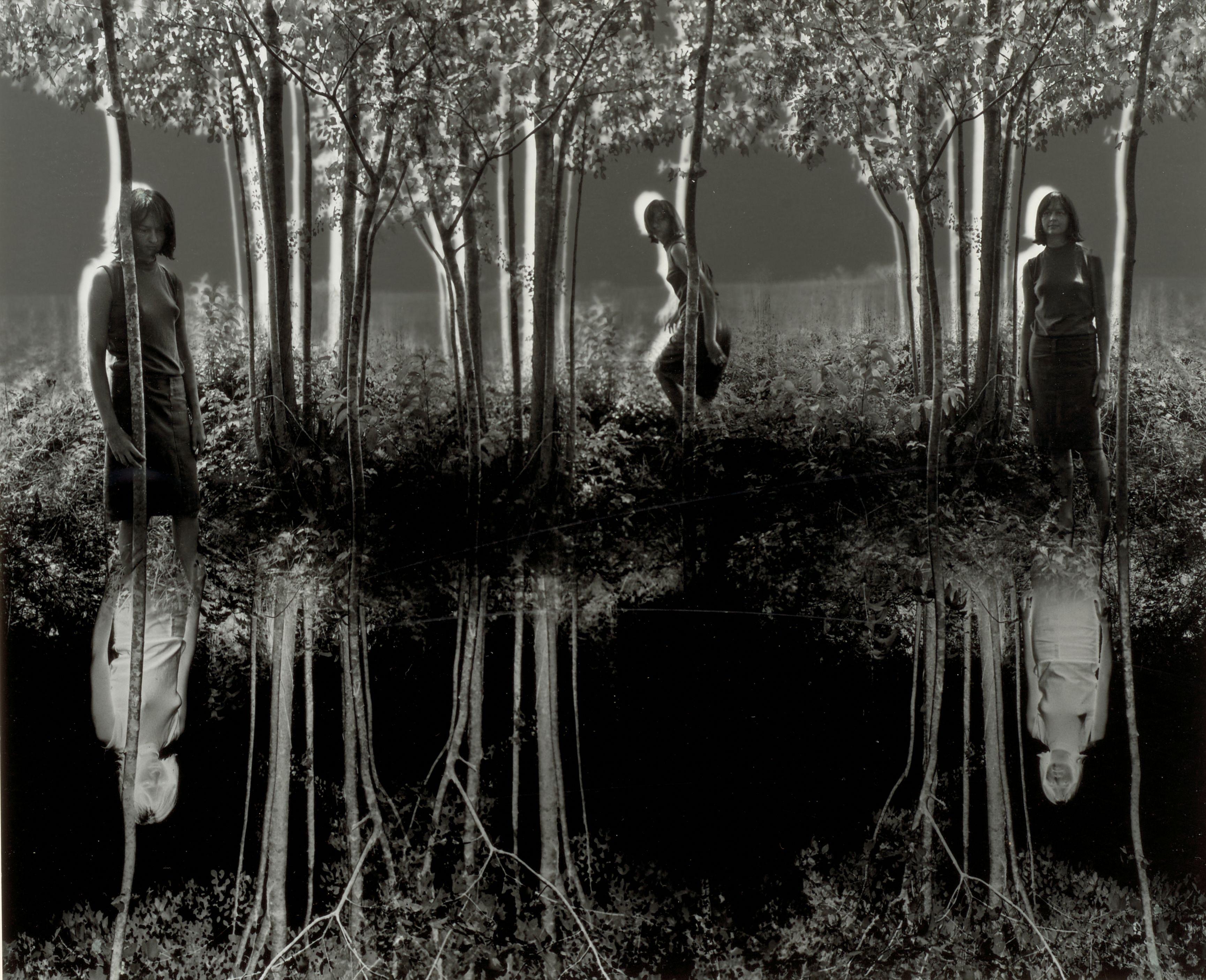 Jerry Uelsmann - Small Woods Where I Met Myself (Final Version)