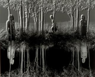 Jerry Uelsmann - Small Woods Where I Met Myself (Final Version)