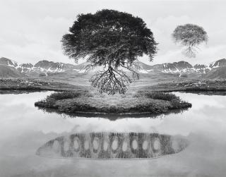 Jerry Uelsmann - Untitled, 1969