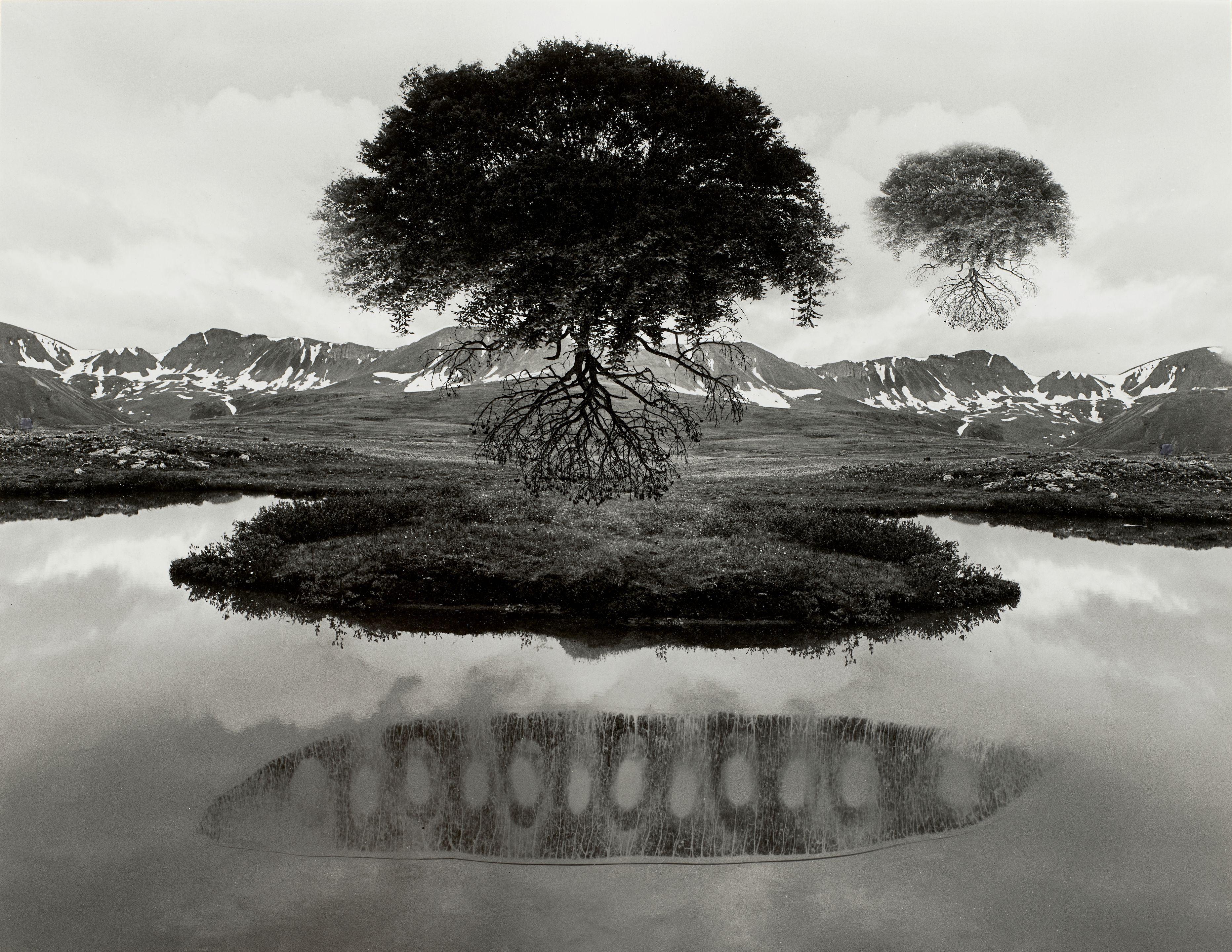 Jerry Uelsmann - Untitled (Floating Tree)