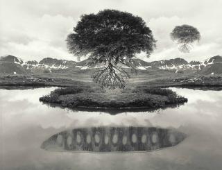 Jerry Uelsmann - Untitled, (Floating Trees), 1969