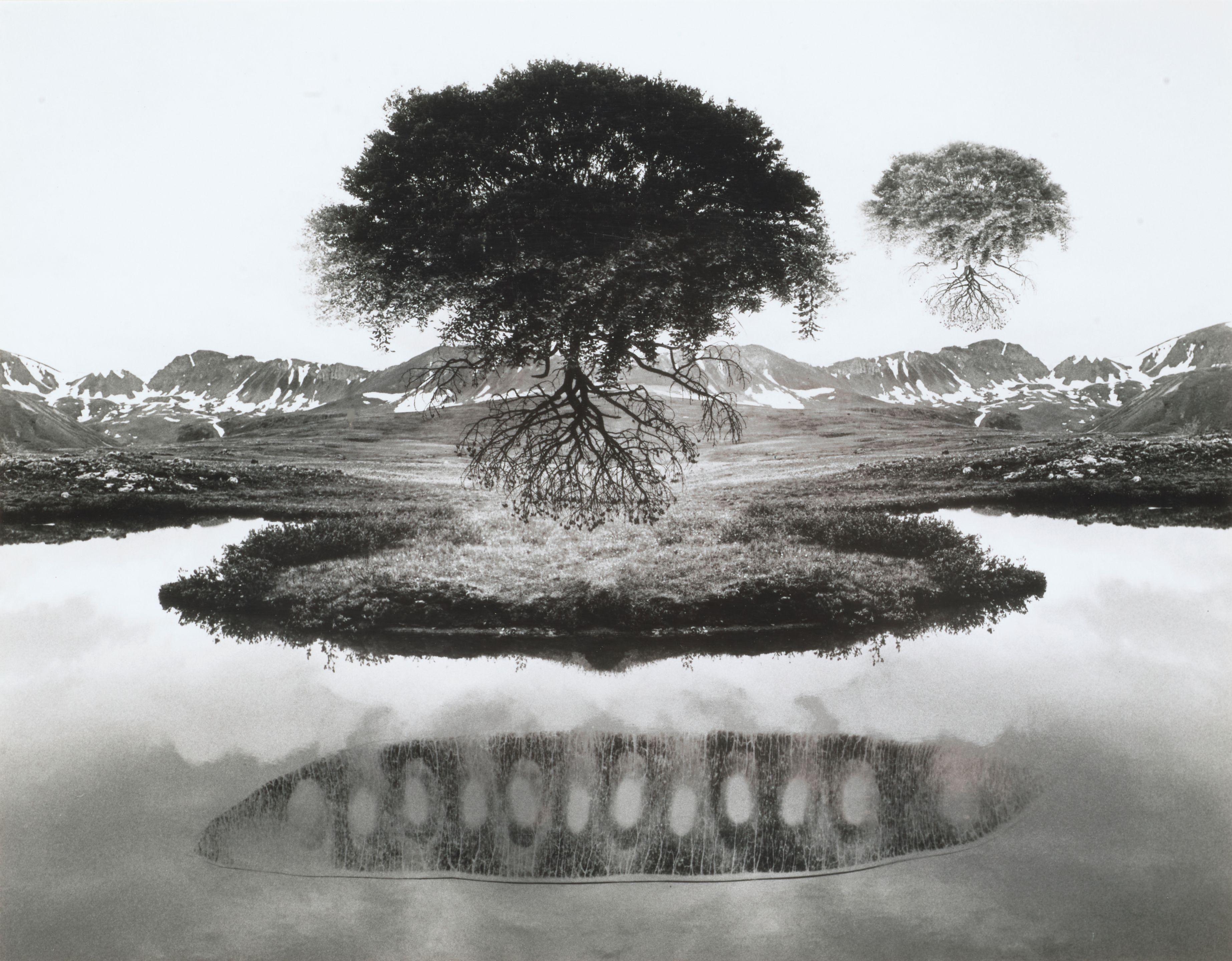 Jerry Uelsmann - Untitled (floating trees)