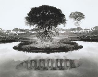 Jerry Uelsmann - Untitled (floating trees)