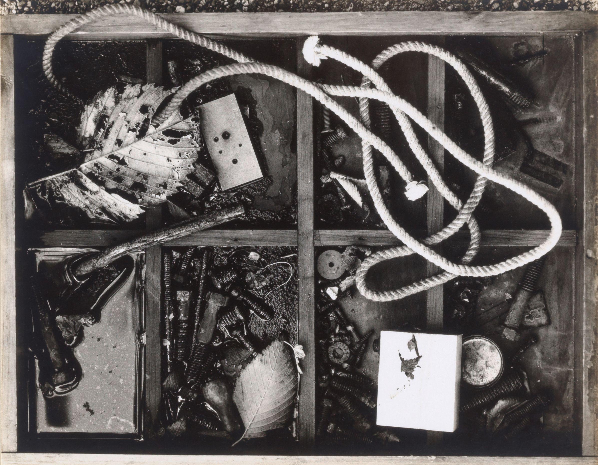 Jerry Uelsmann - Untitled (Still Life)