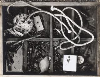 Jerry Uelsmann - Untitled (Still Life)