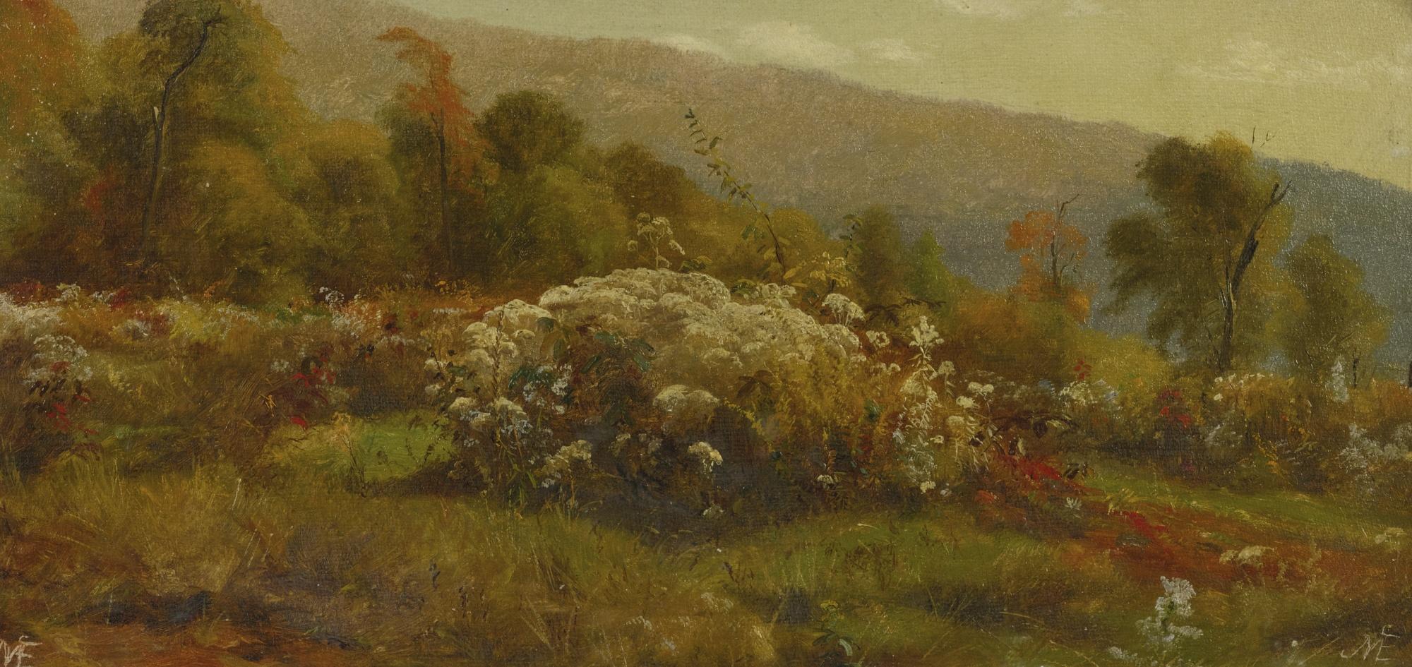 Jervis McEntee - Fall Flowers On A Hillside