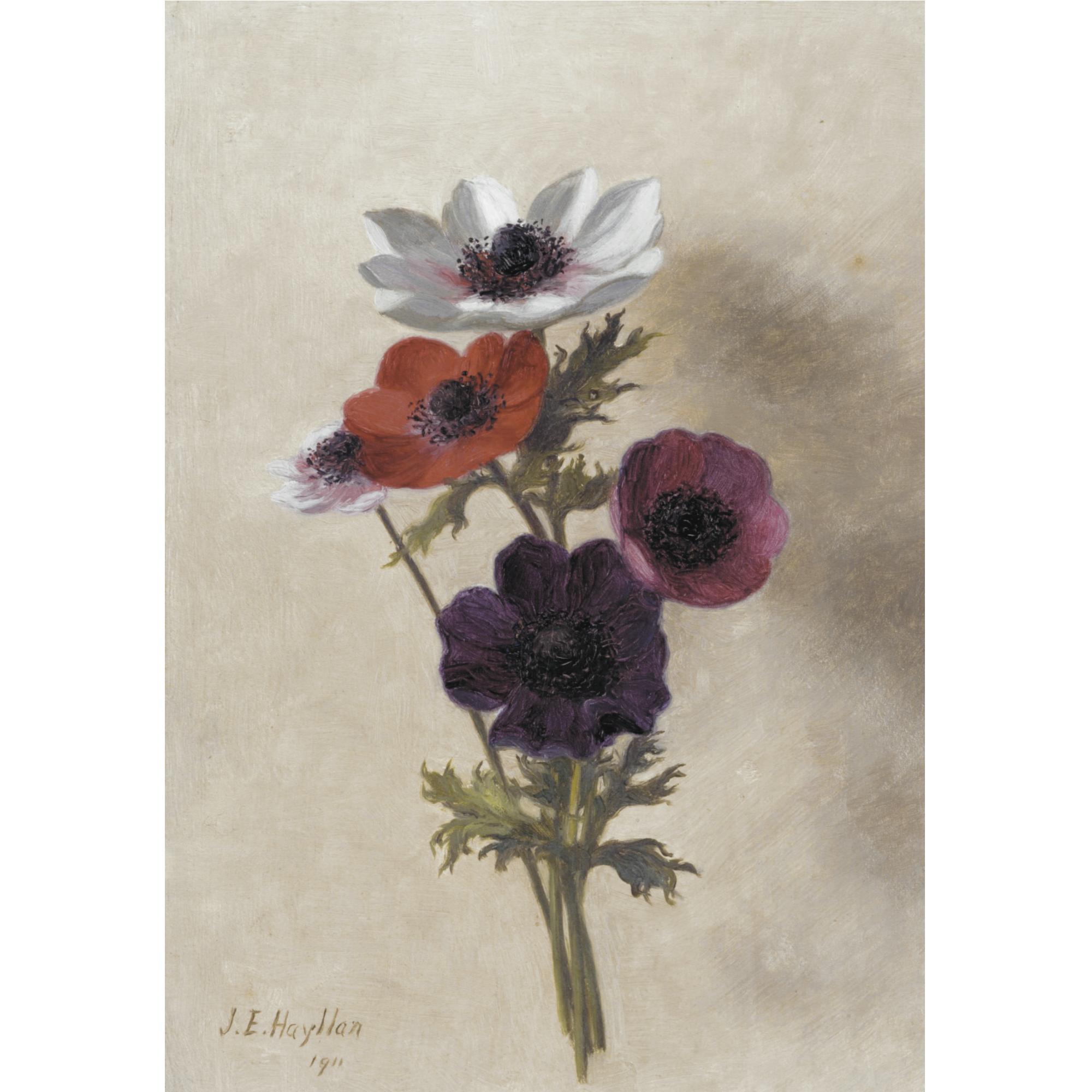 Jessica Hayllar - Anemones