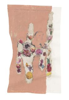 Jessica Hutchins - Al Gore