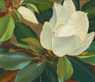 Jessie Arms Botke - Magnolia