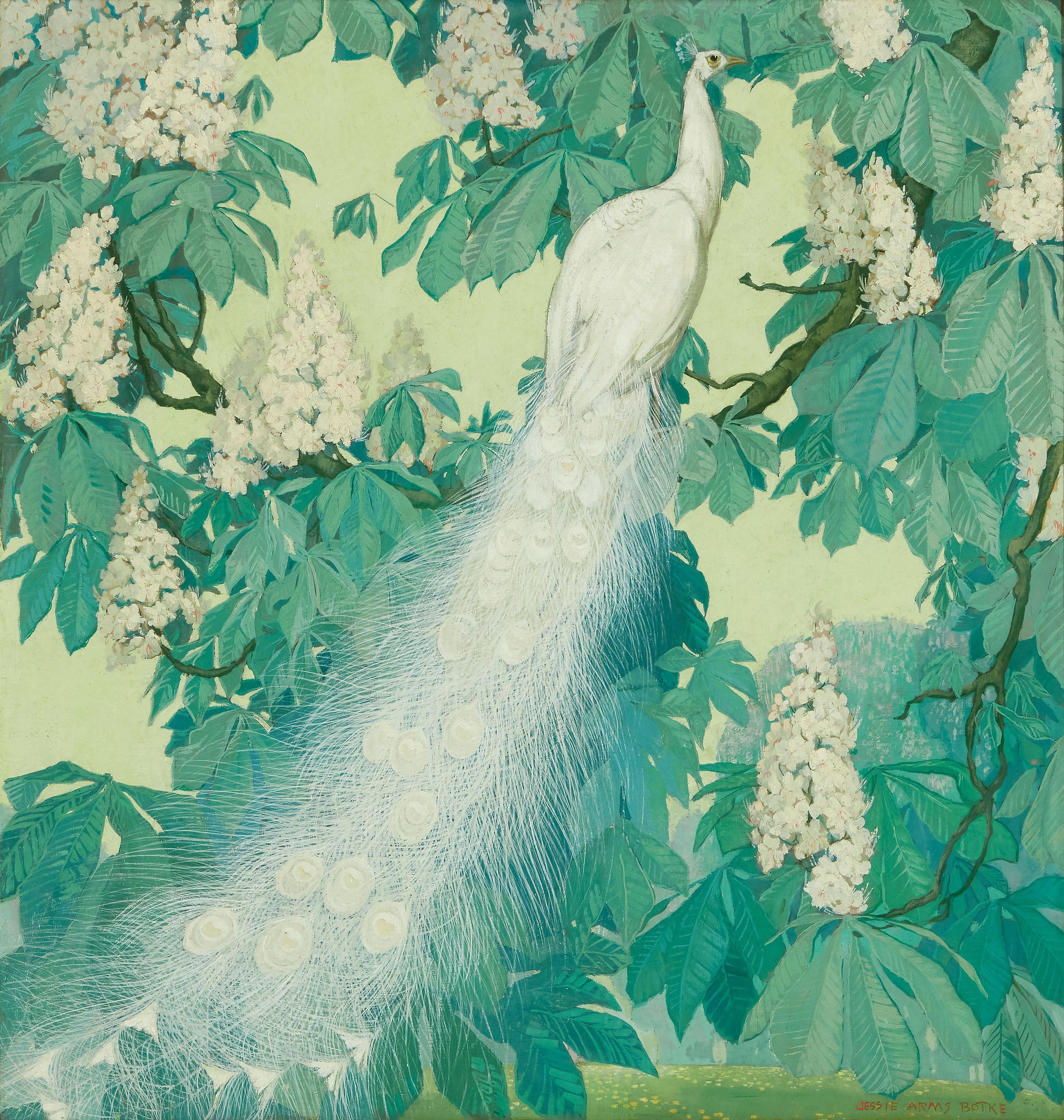 Jessie Arms Botke - White Peacock