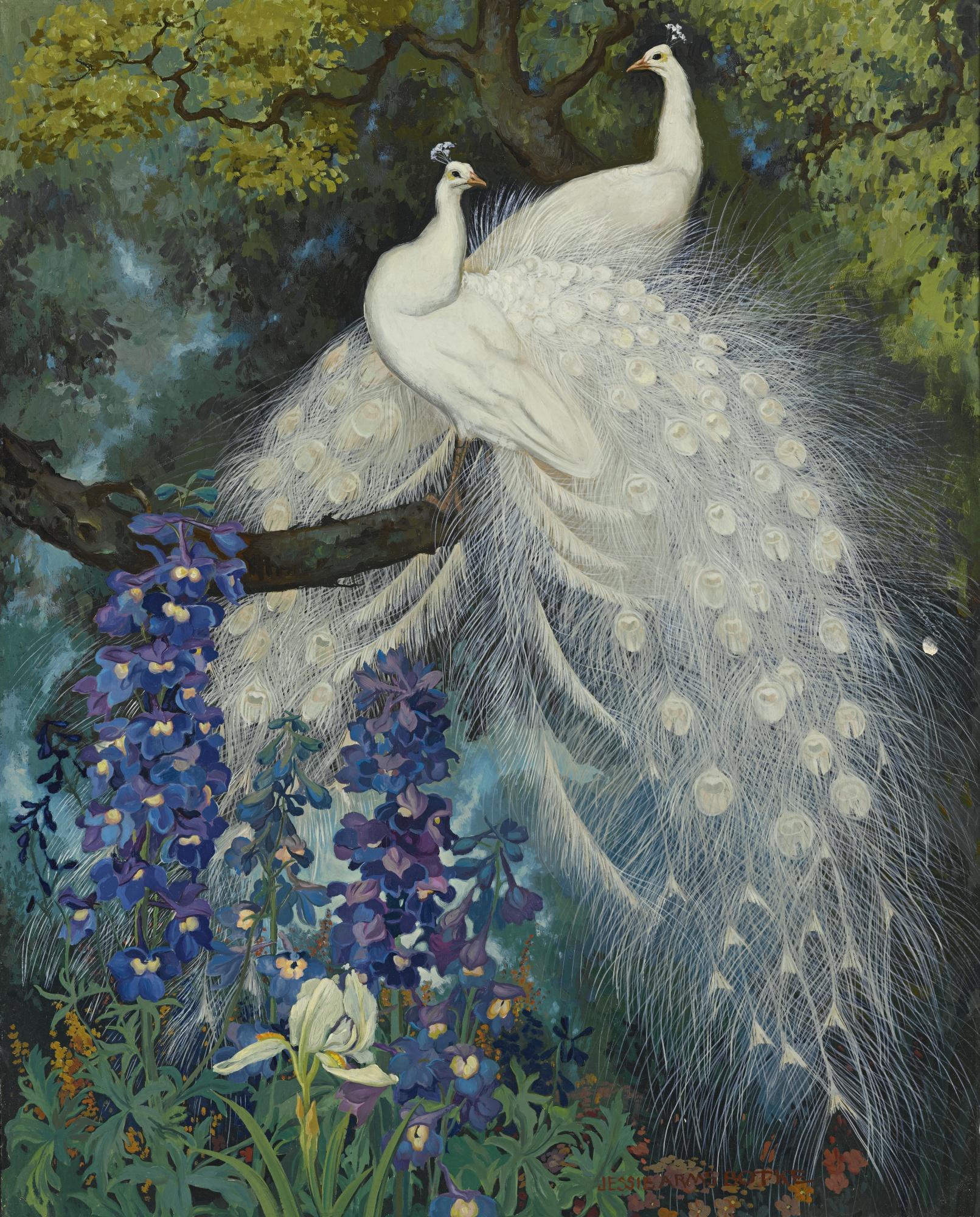 Jessie Arms Botke - White Peacocks And Blue Delphinium