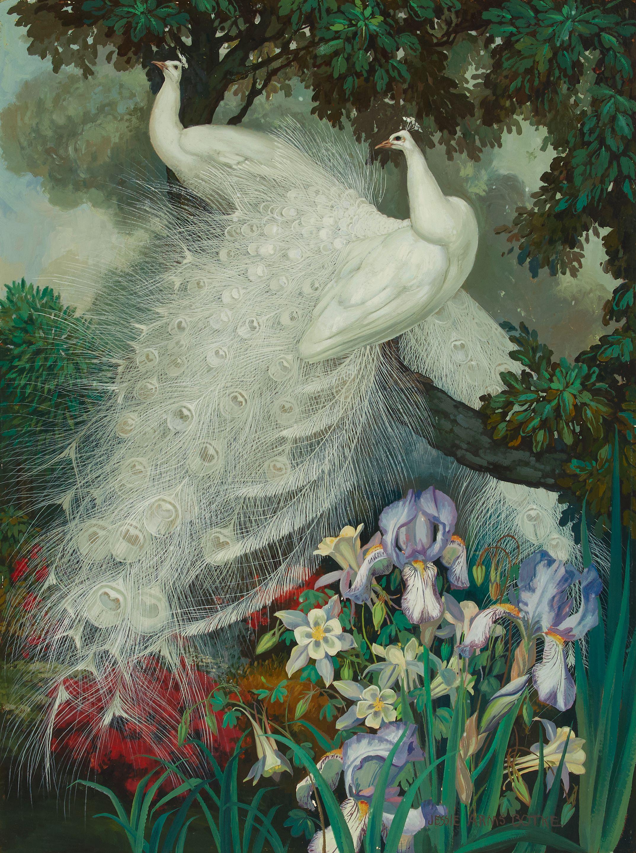 Jessie Arms Botke - White Peacocks and Iris