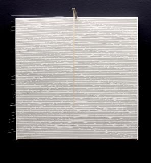 Jesús Rafael Soto - Curvas Blancas