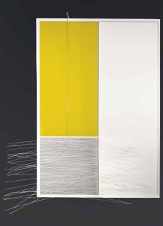 Jesus Rafael Soto - Mouvements internes et externes