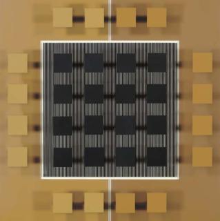 Jesus Rafael Soto - Ocres Con Negro