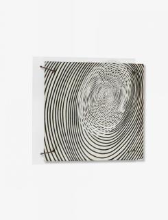 Jesús Rafael Soto - Vibrationsstruktur.