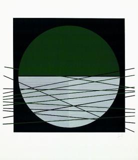 Jesus Raphael Soto - Vibrations