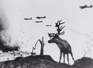 Jewgeni Chaldej - Das Rentier Jascha, Murmansk