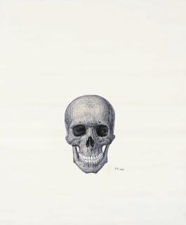 Ji Dachun - Skull