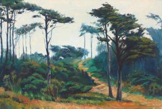 Jian Wang - A Pass at the Golden Gate Park