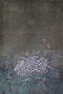 Jiang Hongwei - Butterflies