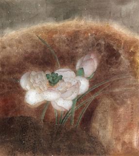 Jiang Hongwei - Lotus