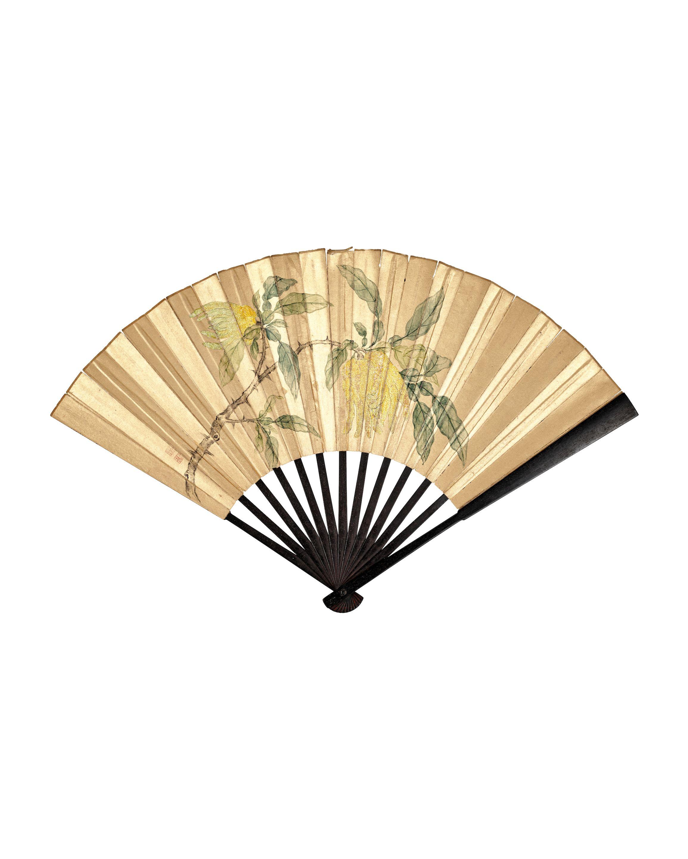 Jiang Tingxi - Bergamot