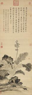 Jiang Tingxi - Chinese Cabbage