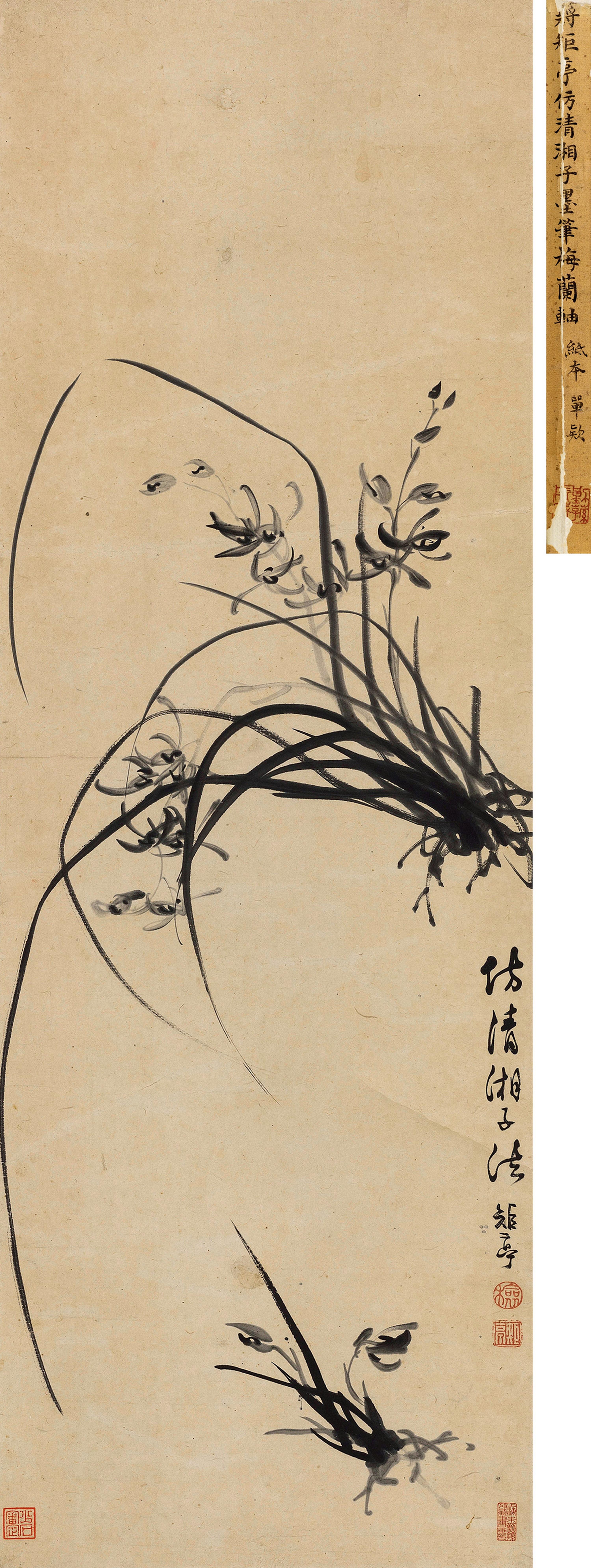 Jiang Yujian - Ink Orchid