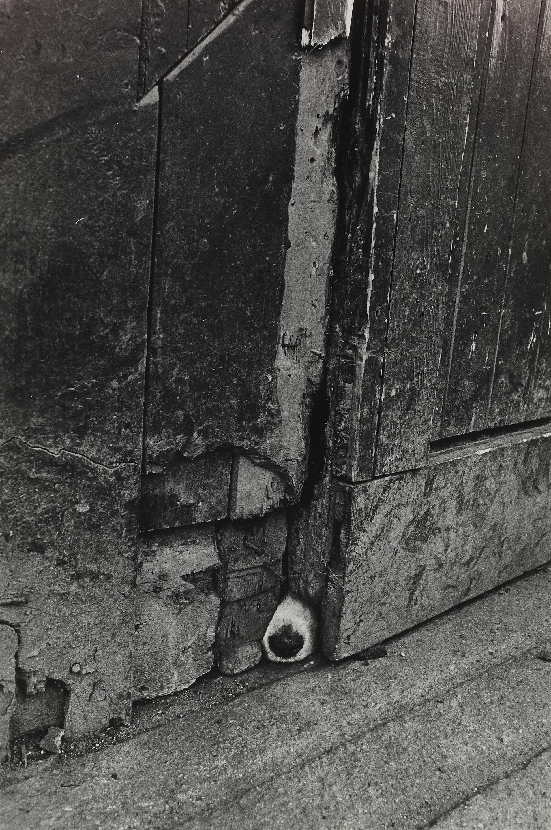 Jill Freedman - Nosy Barker, Ireland