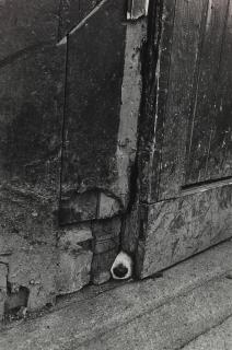 Jill Freedman - Nosy Barker, Ireland