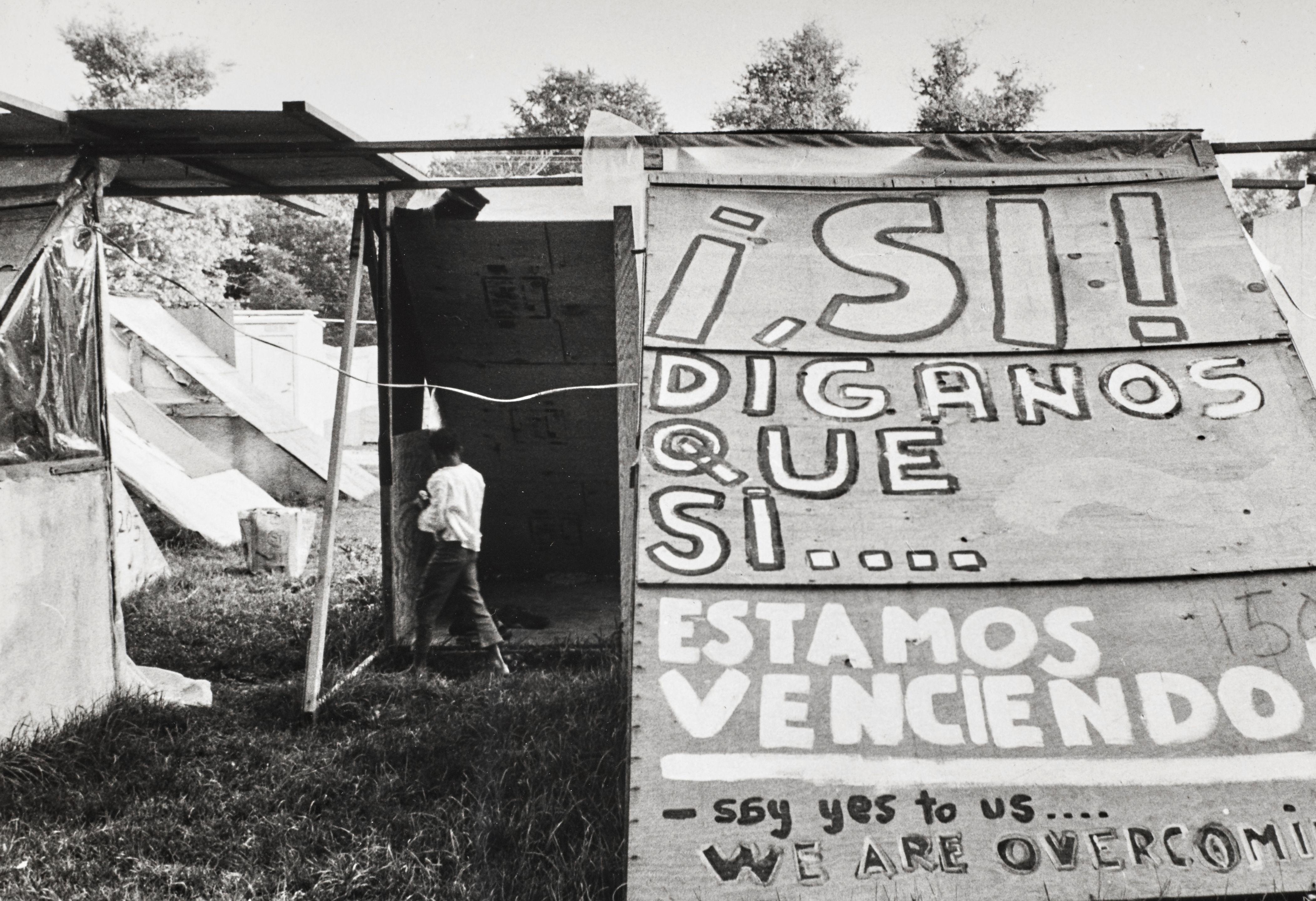 Jill Freedman - Untitled (\