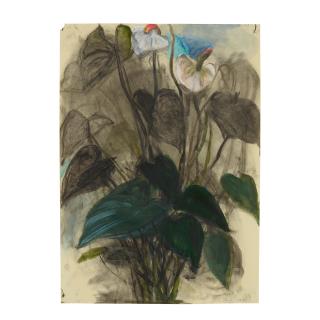 Jim Dine - Anthurium, 1991
