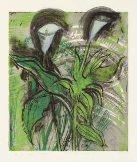 Jim Dine - Calla Lilies, Verona I, from Calla Lilies, Verona (C. 58.1)